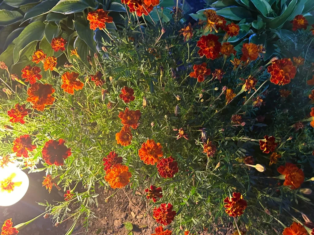 NiceAparts Уютная квартира с кондиционером в новом безопасном районе