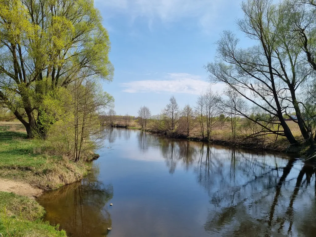 Деревянный дом в деревне дача фермера