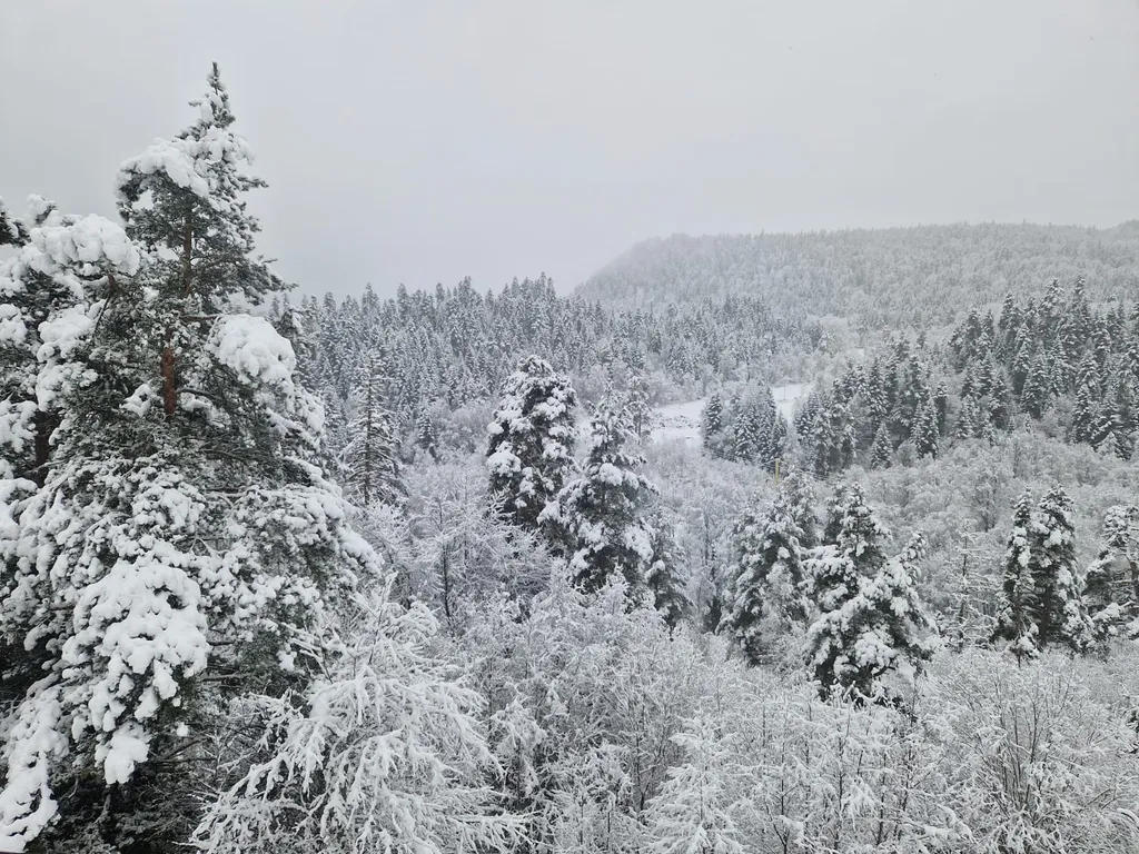 4-комнатный Дом