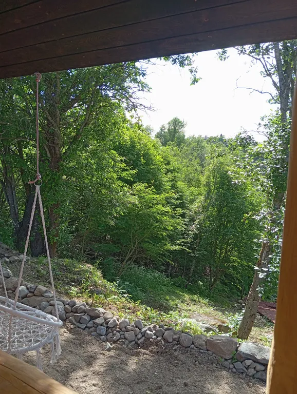 Деревянный дом, на берегу меличуярви, на краю леса в карельском селе