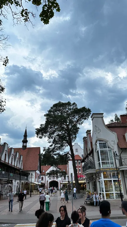 Квартира Квартира в сказочном Светлогорске с видом на лес под пение птиц — Светлогорск