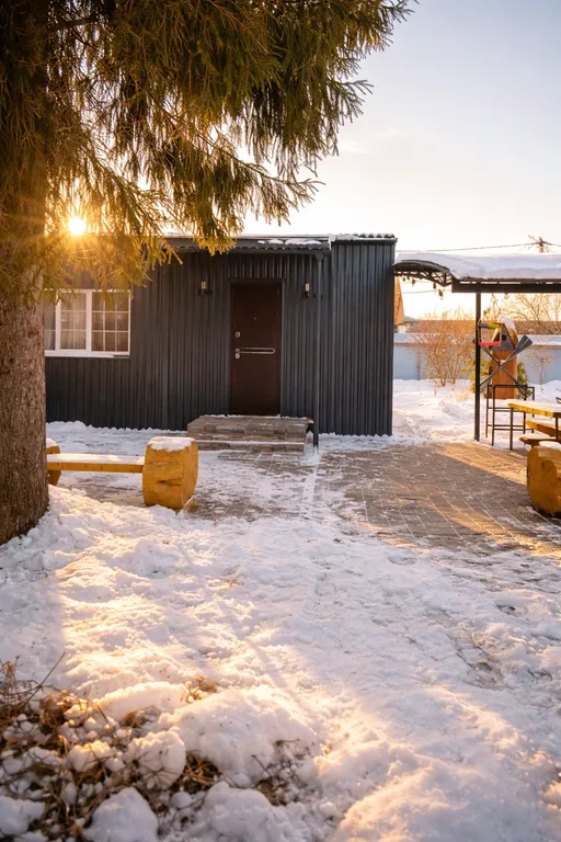 Дом Ёлки в Бузулукском Бору