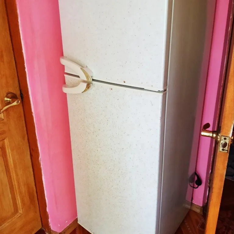 Комфортный отдых на побережье Чёрного моря