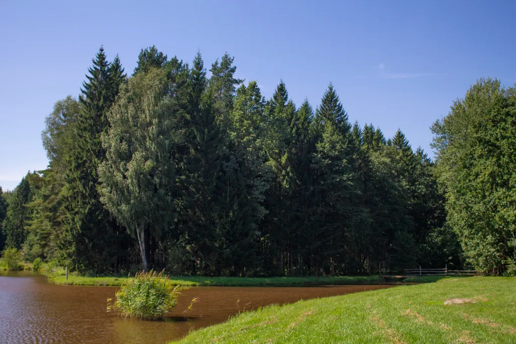 Дом с озером, река, лес