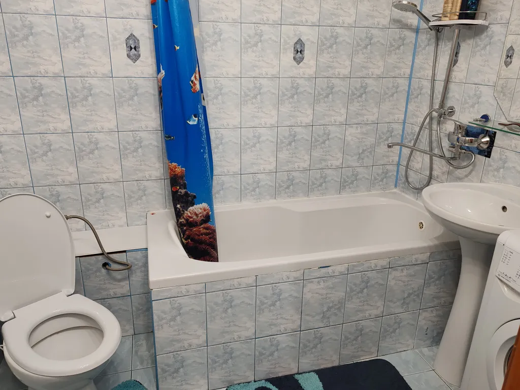 Поживём - увидим(однушка с двумя спальными местами, после ремонта)