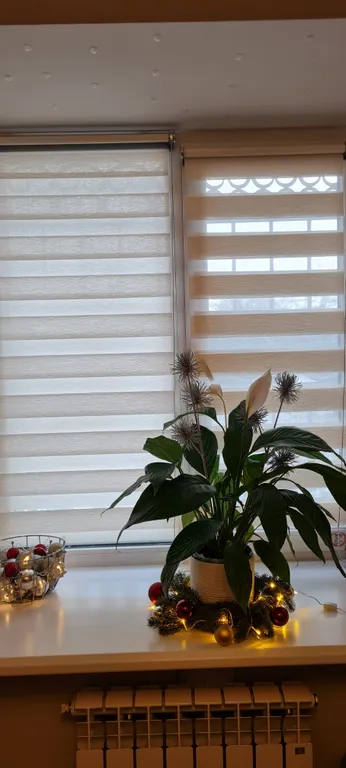 Встречаем весну в Угличе: история и русский колорит