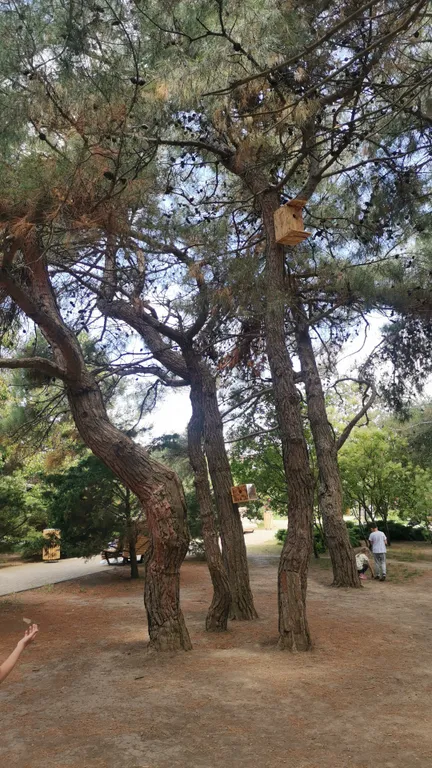 Квартира Happy place