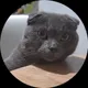 Sardana