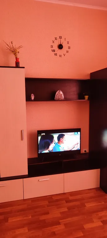 Уютная студия в ЦО