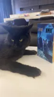 Иван