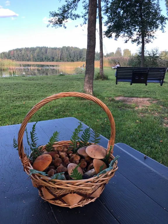 Дом на берегу озера