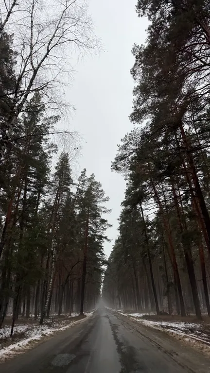 Уютный дом в лесу у озера вблизи от города