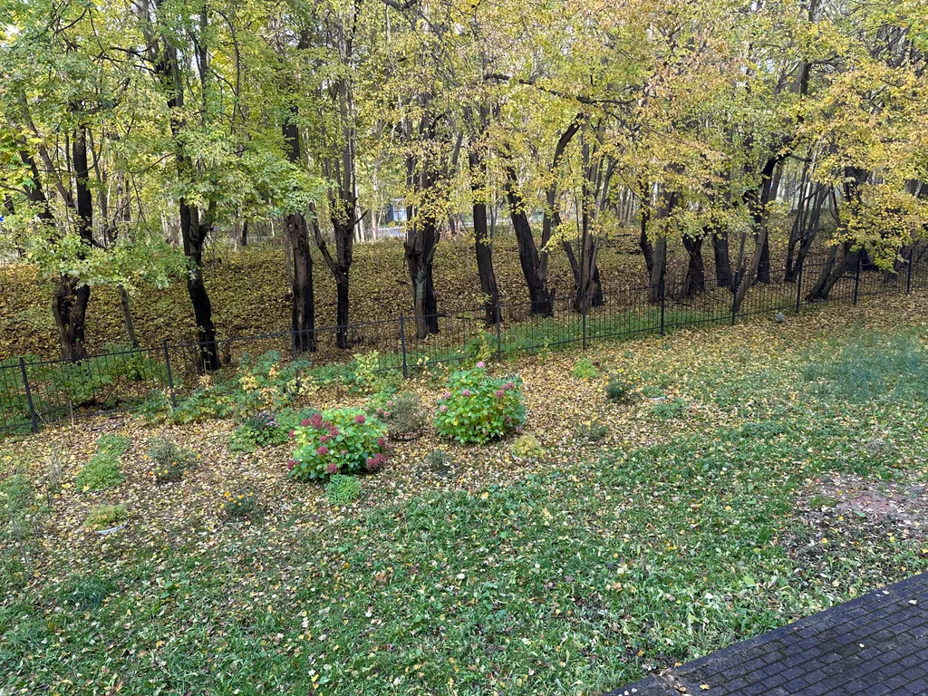 Роскошная квартира