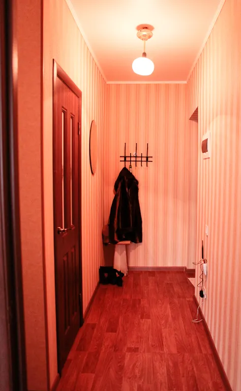 Уютная квартира между парком и озером