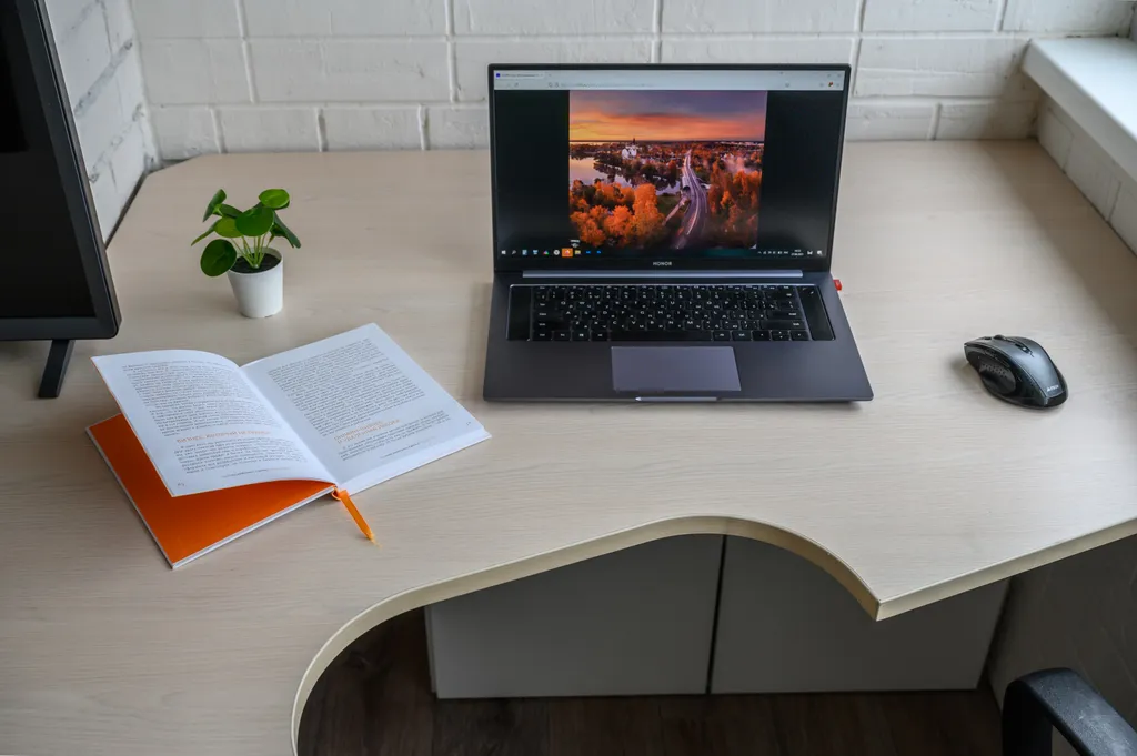 Светлая студия, рядом пляжи и парк Дубки