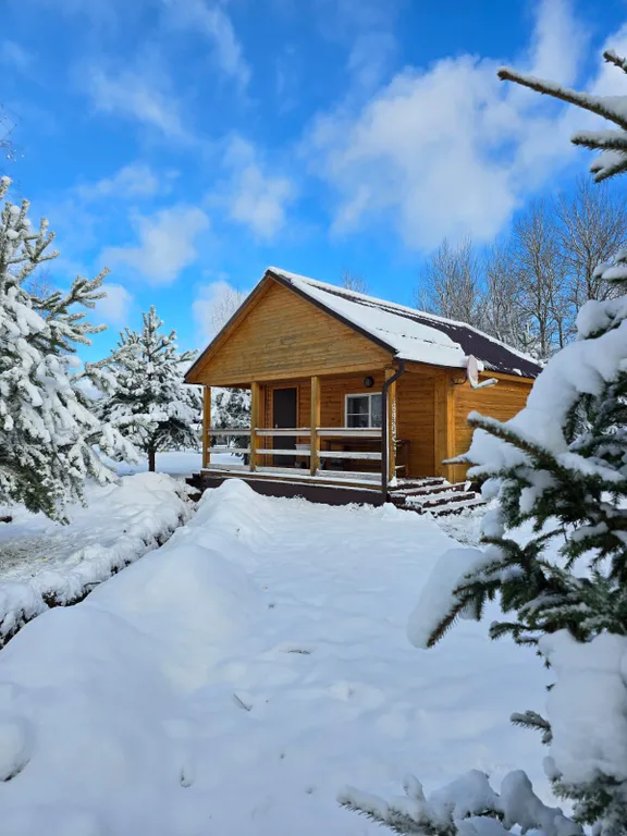 Уютный дом на 1 линии о. Cелигер