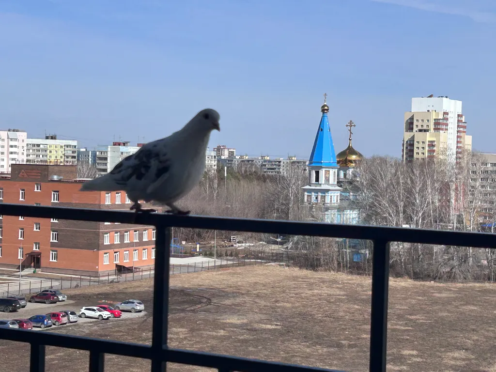 Современная студия с террасой