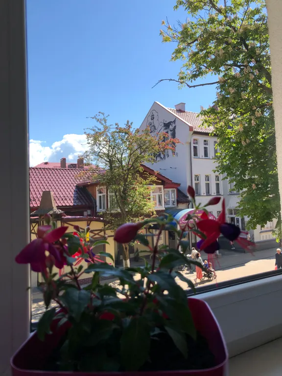 Квартира Квартира с камином и видом на Курортный проспект — Зеленоградск