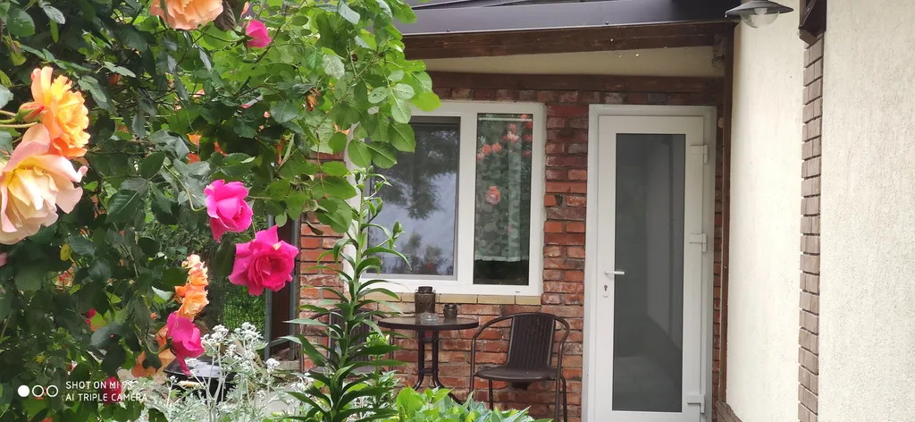 Квартира Студия с уютным двориком — аренда посуточно в Балтийск