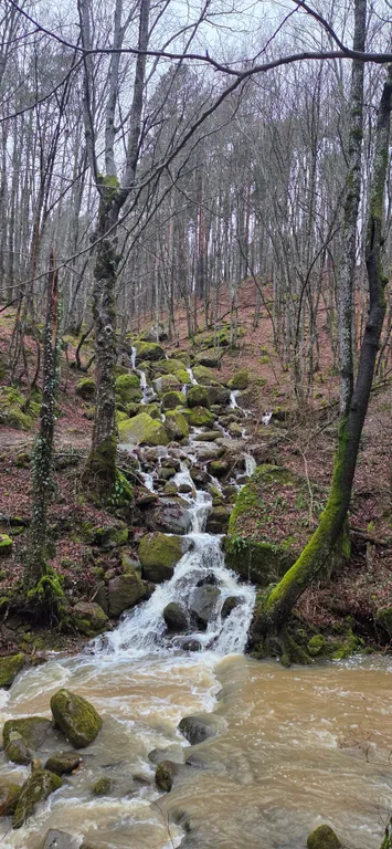 Прекрасная база отдыха в горах "Дубровский клуб"