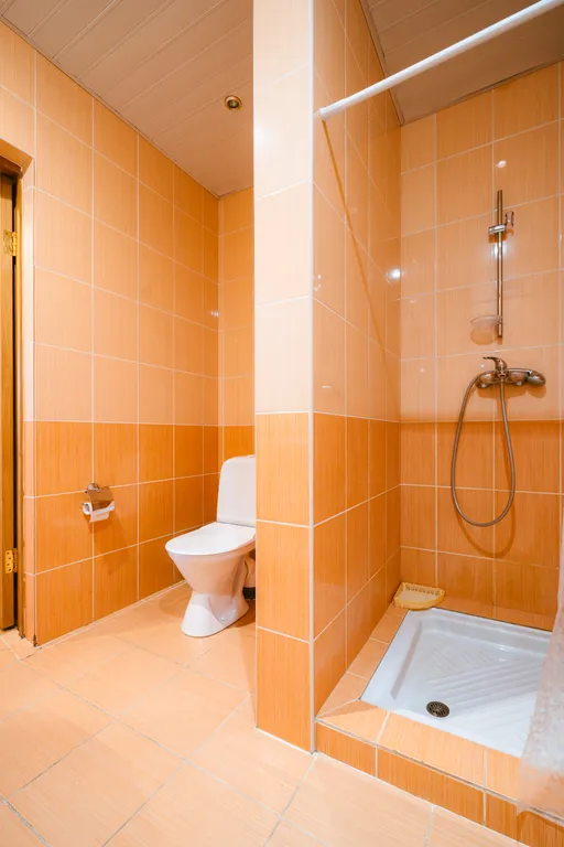 Дом на пруду с камином и караоке