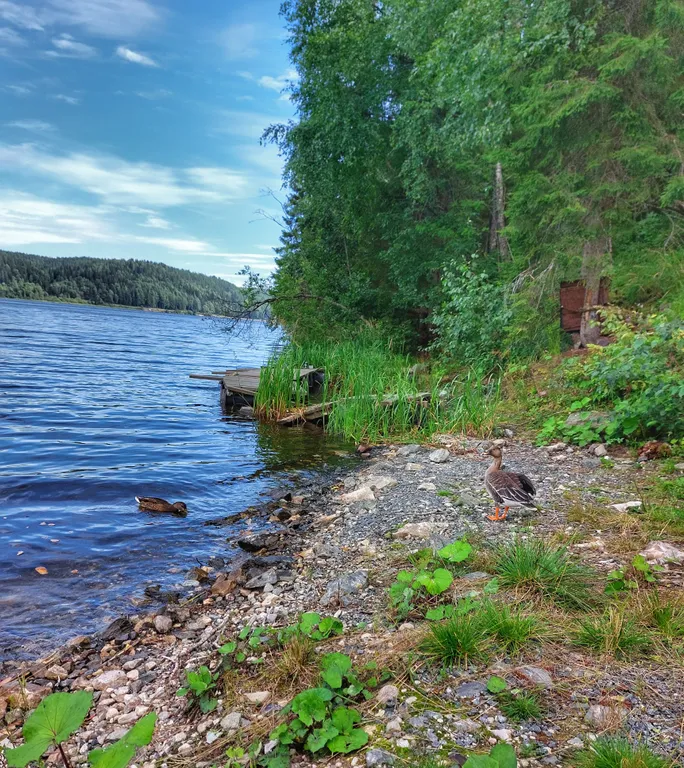 «Шале у Озера 1»