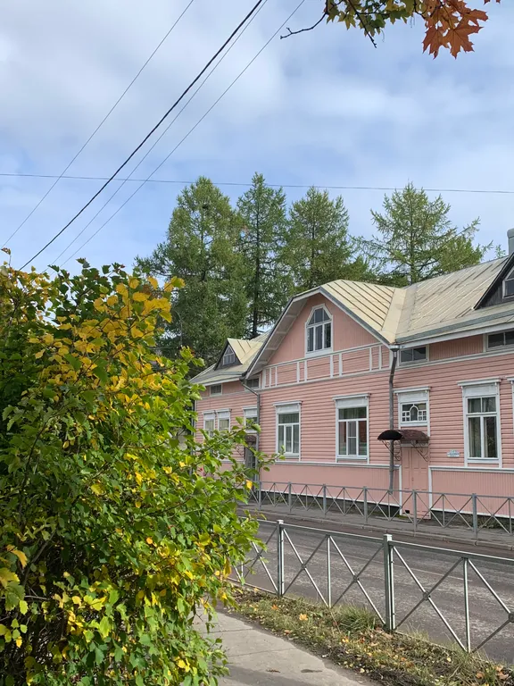 Cozy & Central Loft in Finnish wooden house 1914
