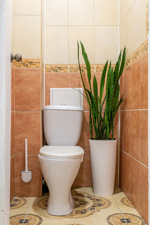 Светлый дом на Сенной