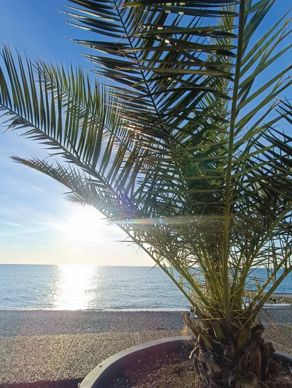 Квартира Двухкомнатная квартира недалеко от моря, рынка, океанариума и дельфинария — Адлер