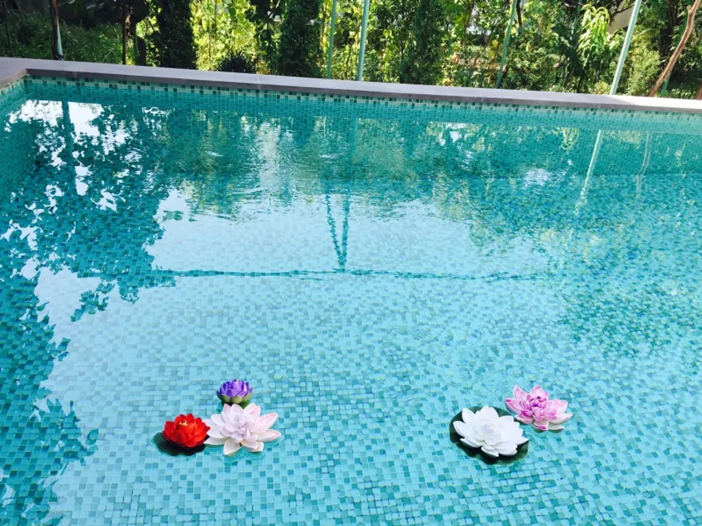 Вилли с бассейном