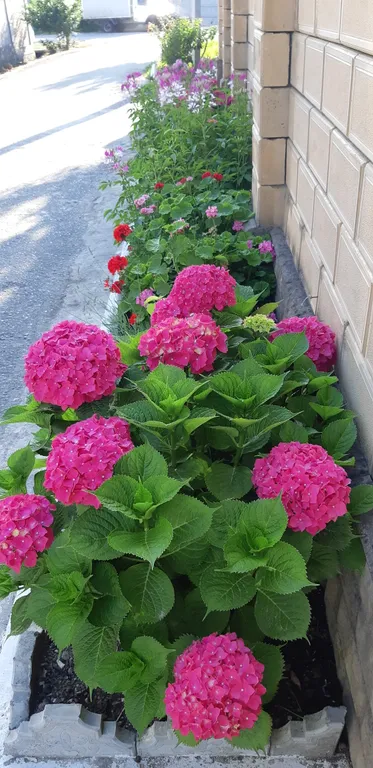 Квартира Комната — Сухум