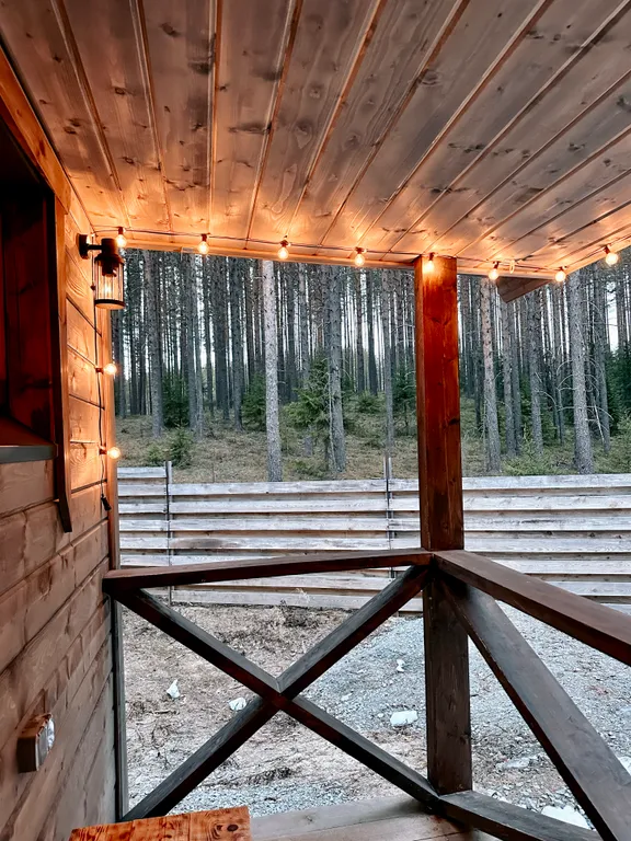 Домик в лесу с потрясающим видом из окна с банным комплексом