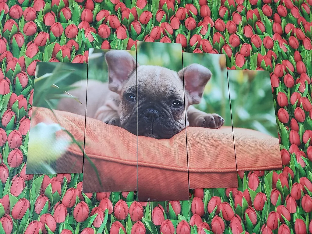 Квартира в центре Владивостока рядом с морем