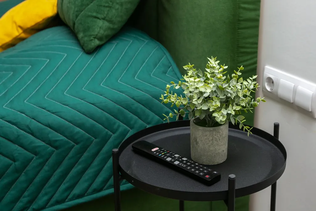 Квартира Квартира Valeriya apartment — Светлогорск