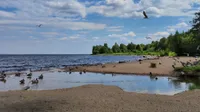 Оксана