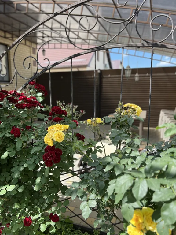 Загородный дом 5 спален с бассейном и большой территорией