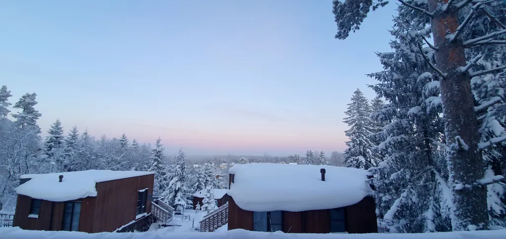 Черничный склон коттедж Violet house