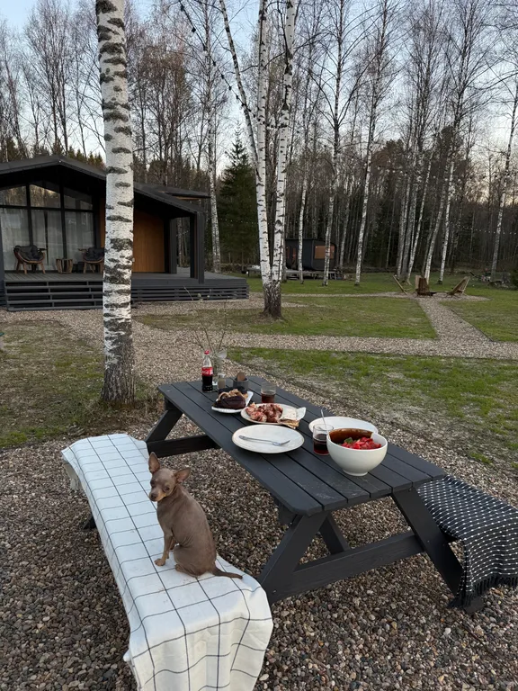 Дом у лесного озера с баней и чаном под Переславлем-Залесским