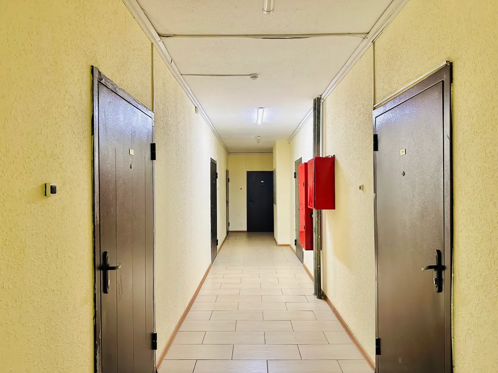 Пингвин в гараже