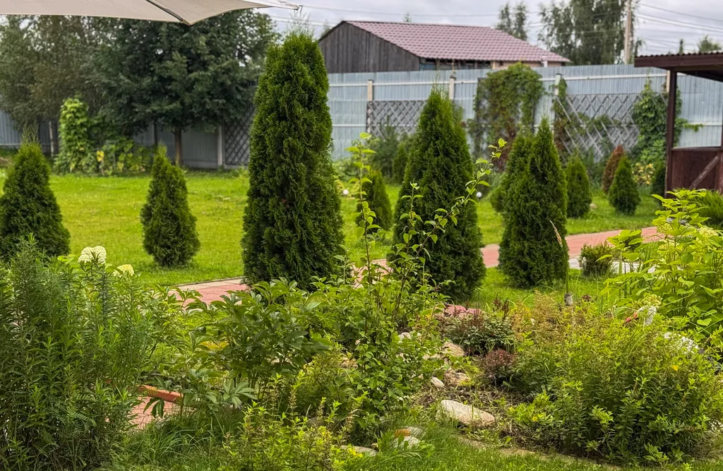 Уютный дом с большой территорией