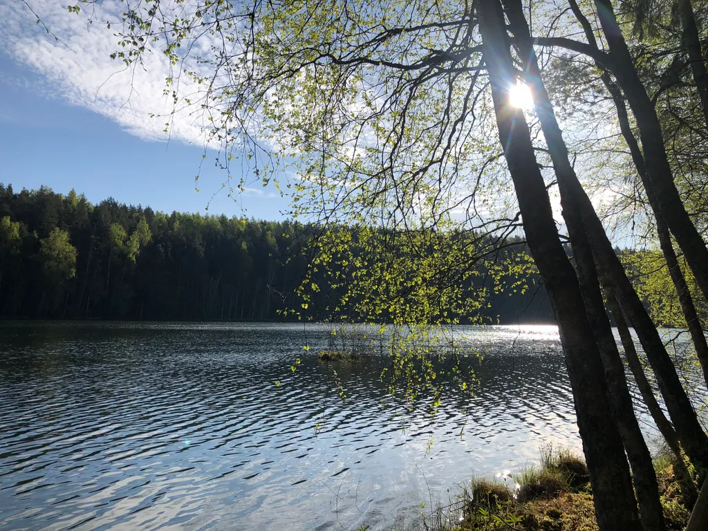 Дом у реки Лынтупка