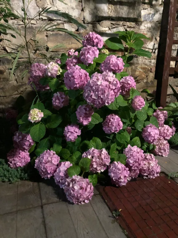 Коттедж Дом в центре города — Махачкала