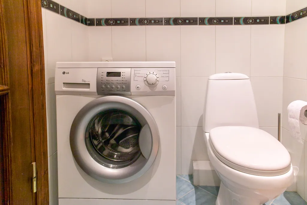 Просторная квартира в центре города около Мзиури парка