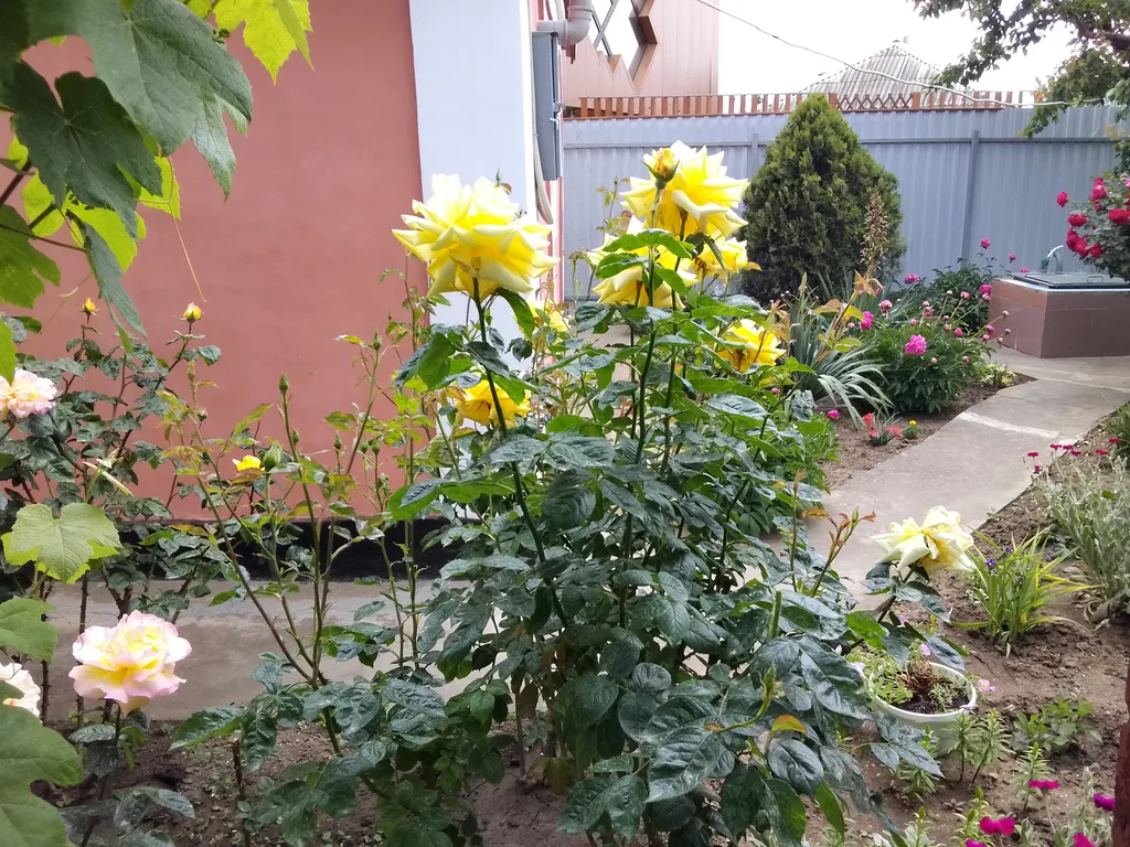 Квартира Комната — Феодосия