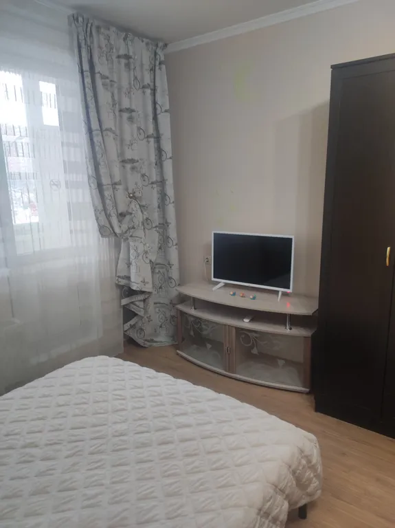 Уютная квартира возле аэропорта Внуково