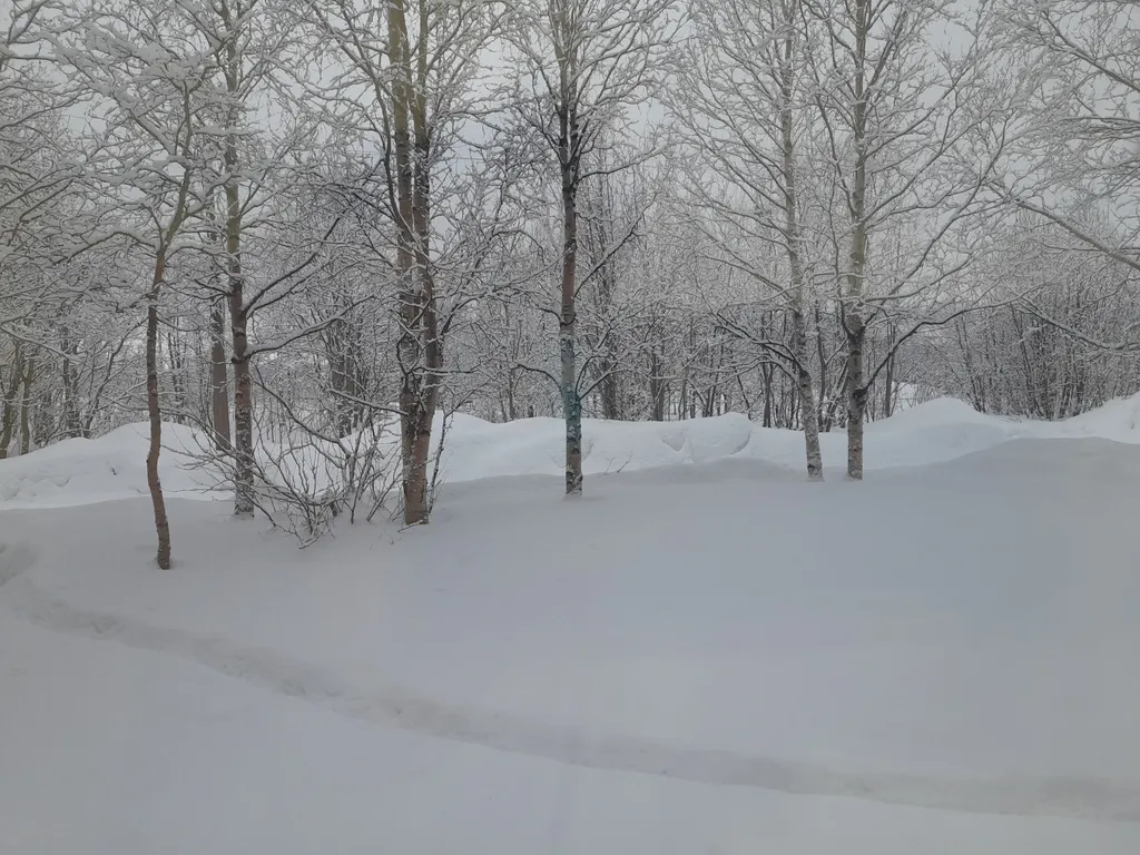 Однокомнатная квартира