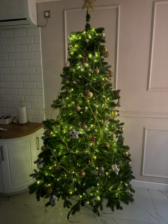 Усадьба купца Левитина в самом центре города