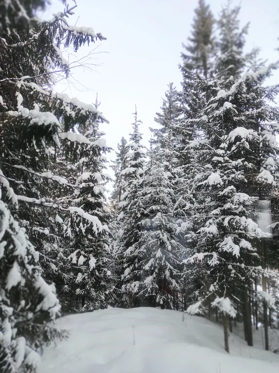 Дом с баней на берегу залива реки Чусовая База Отдыха