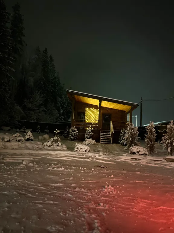 Коттедж Дом с сауной у леса — Санкт-Петербург