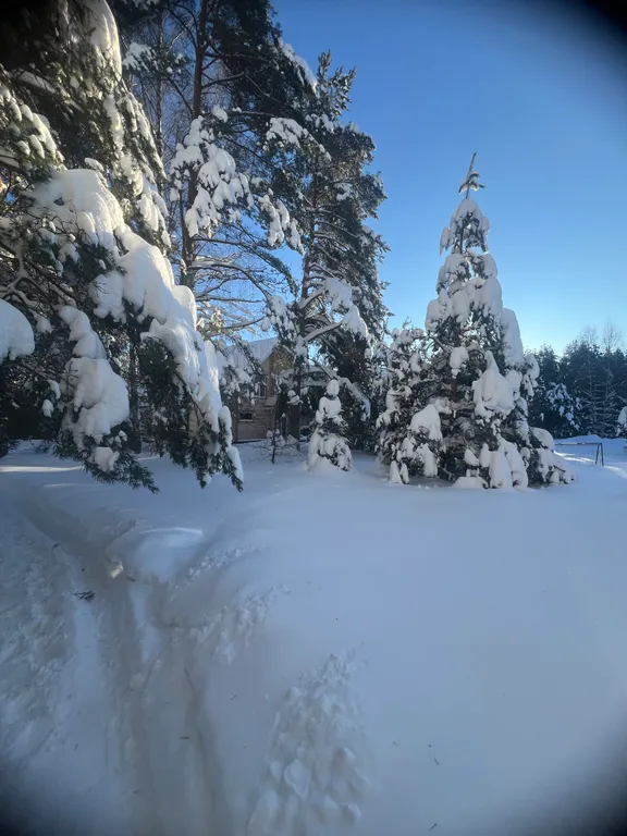 Дом синь-камень